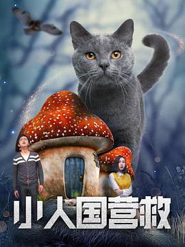 午夜在线视频网站